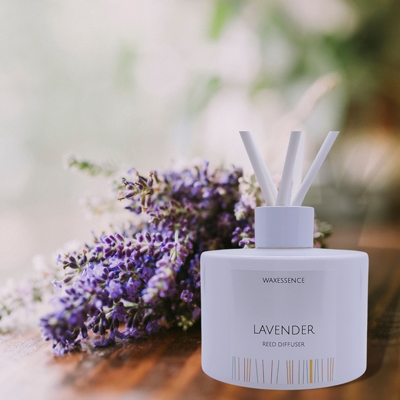 Lavender Reed Diffuser | Essenza Gloss White | Aromatherapy Home Decor - Picture 2 of 5